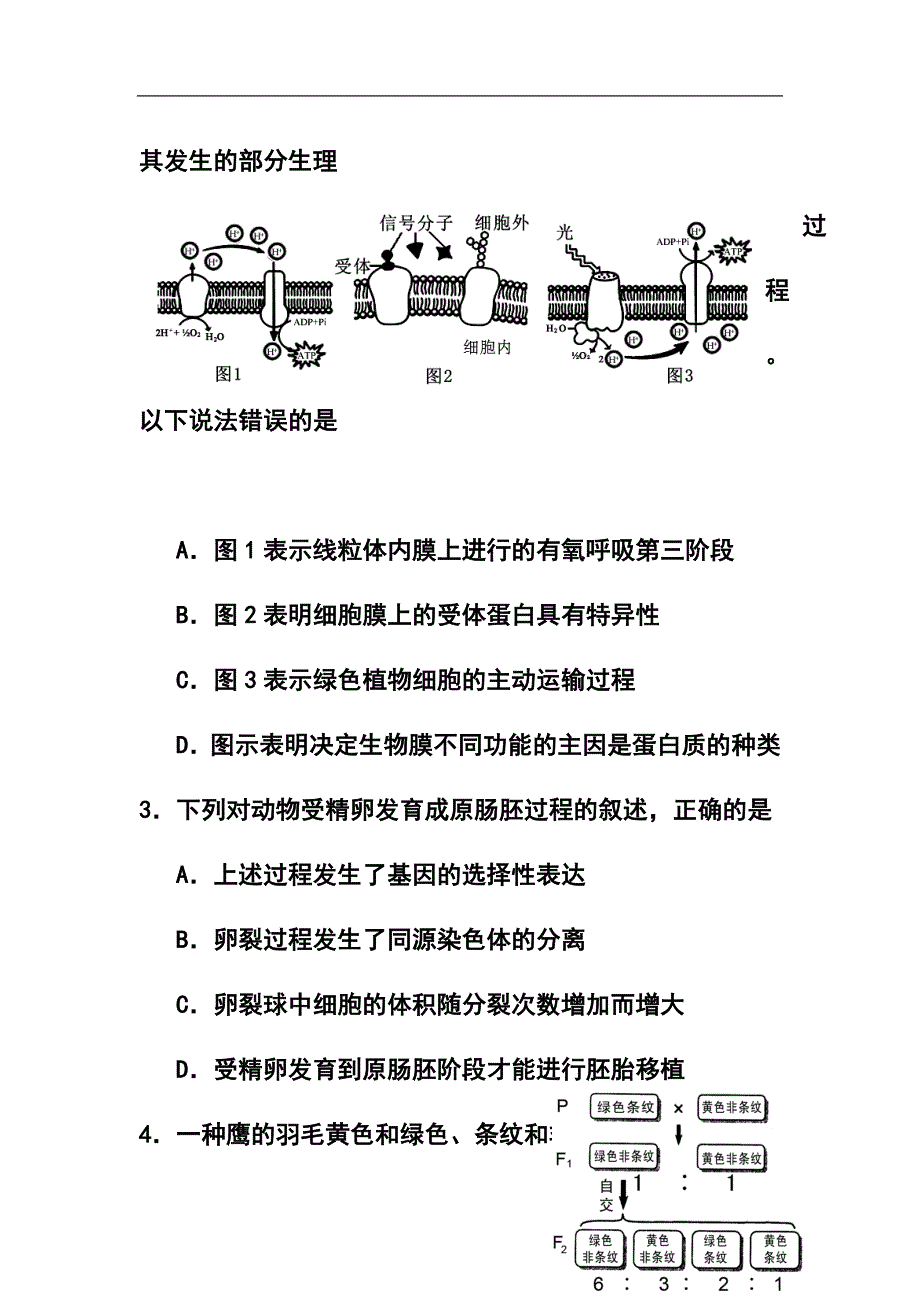 广东省海珠区等四区高三联考生物试题及答案_第2页