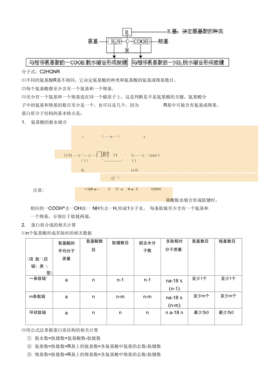 细胞中的元素和化合物知识点汇总_第3页