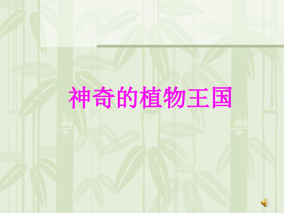 神奇的植物王国课件_第1页