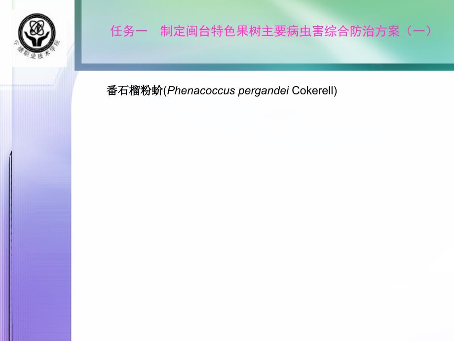 杧果主要病虫害防治技术课件_第2页