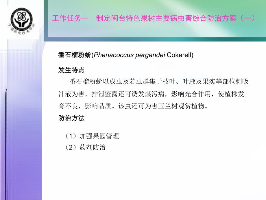 杧果主要病虫害防治技术课件_第3页