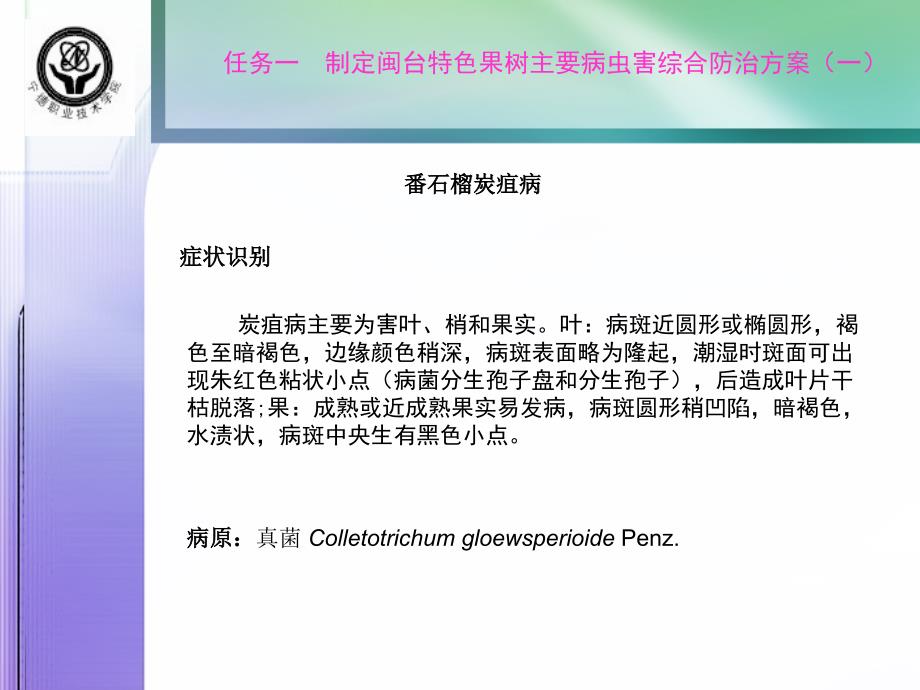 杧果主要病虫害防治技术课件_第4页