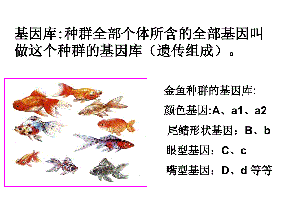 生物进化理论的发展.ppt_第4页