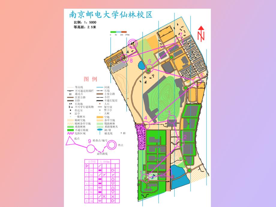 阅读定向运动地_第2页