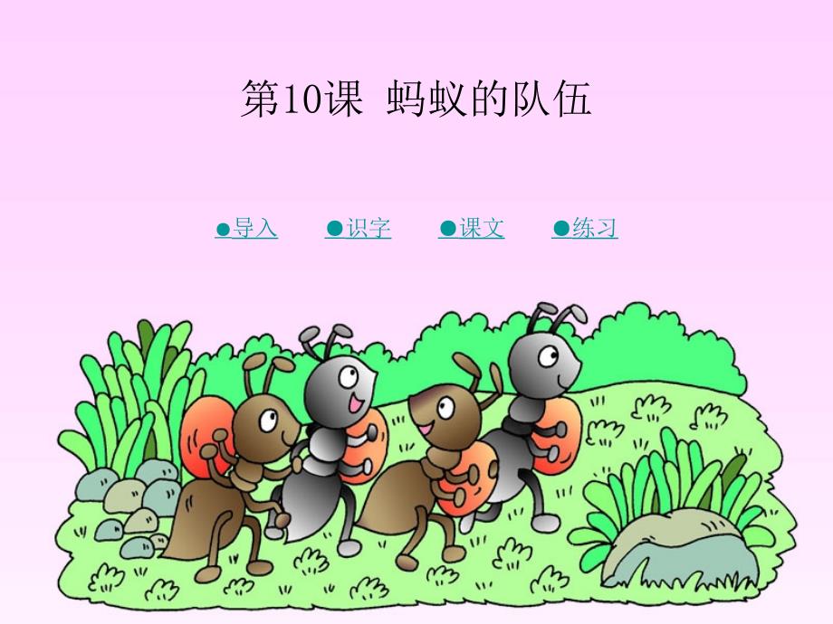 10蚂蚁的队伍_第1页