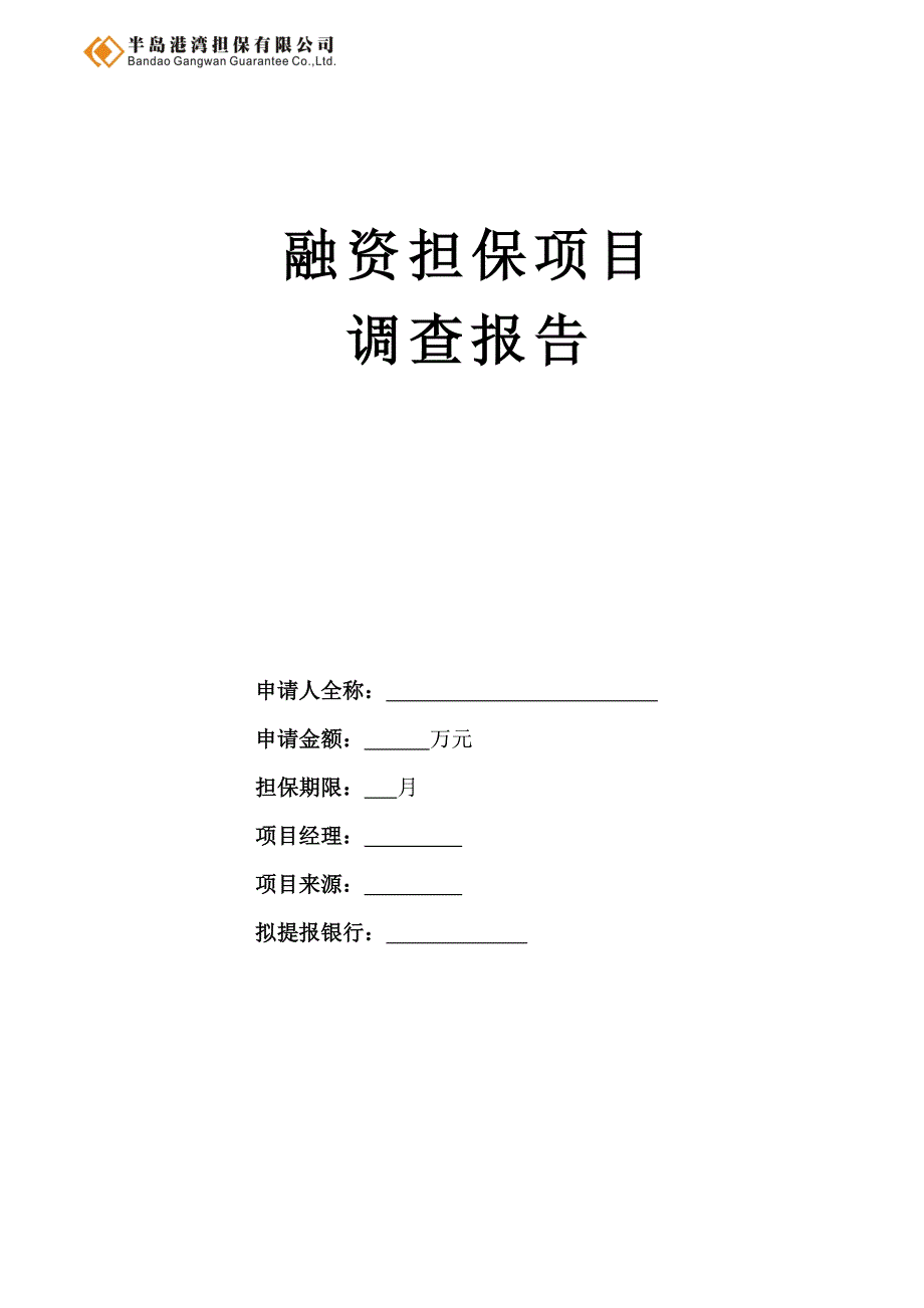 担保公司融资担保项目报告模板_第1页