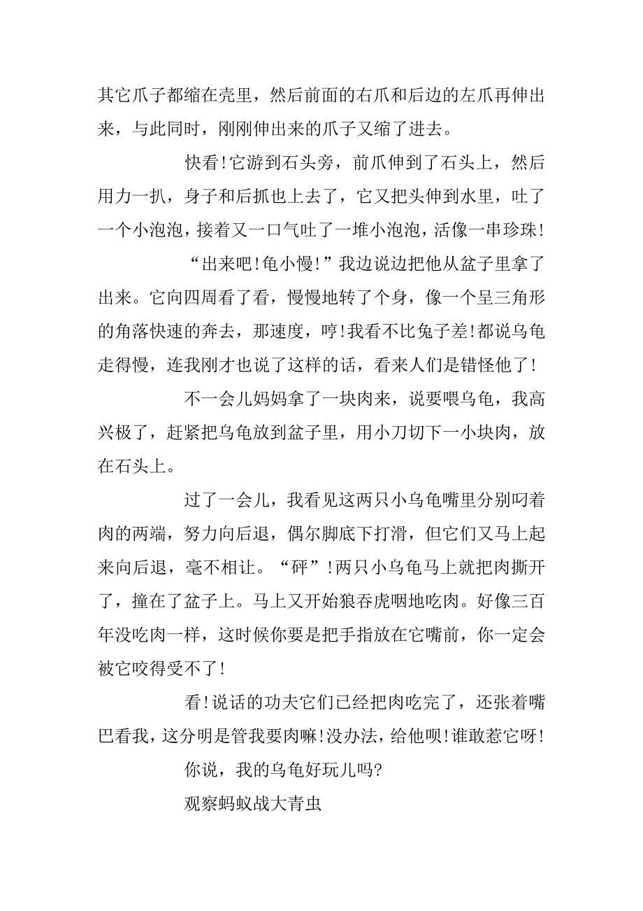 2023年观察 作文精选5篇 800字_第2页