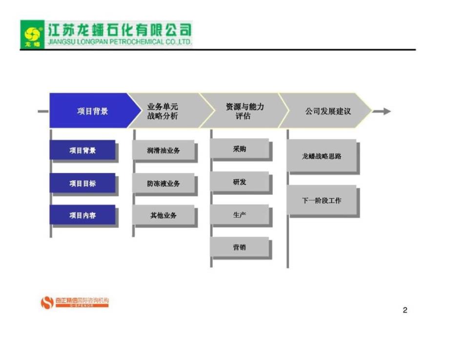 奇正精信：江苏龙蟠石化有限公司发展战略调研报告_第2页