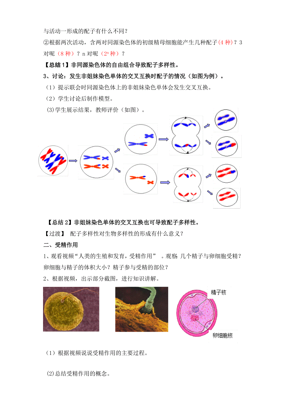 二　受精作用7_第4页