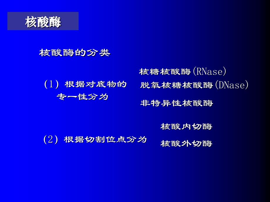 生物化学：第八章 含氮化合物代谢_第4页