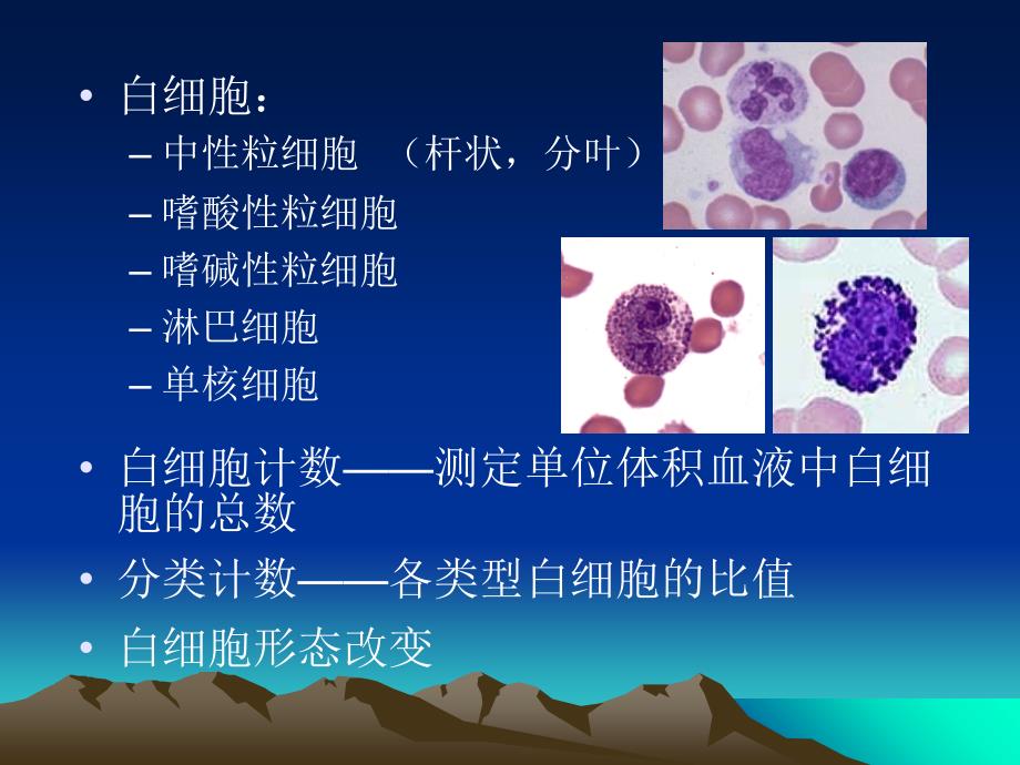 白细胞计数与分类_第1页