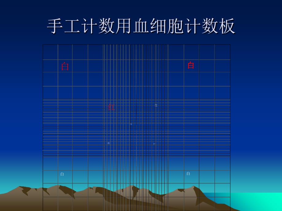 白细胞计数与分类_第2页