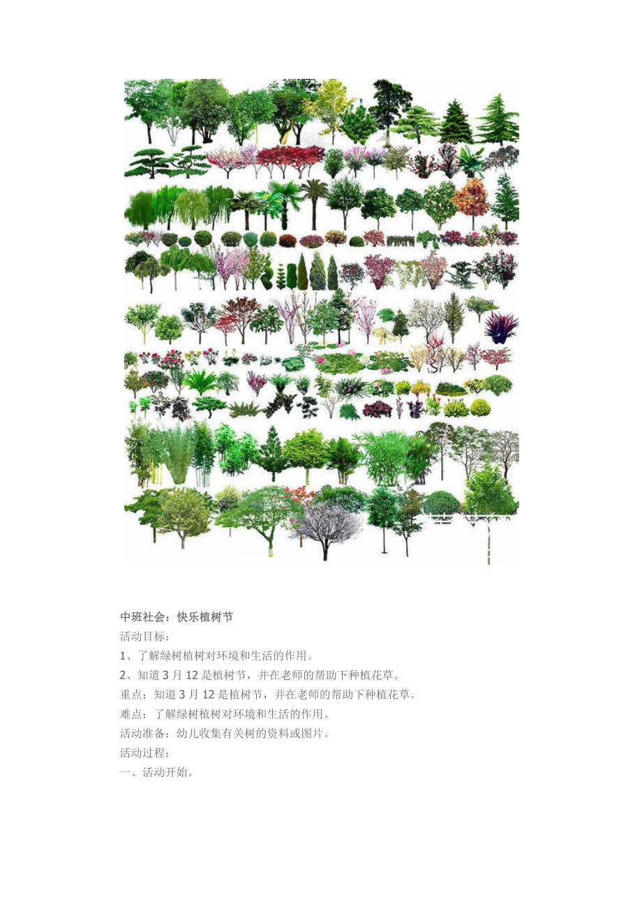 植树节主题活动.docx_第3页