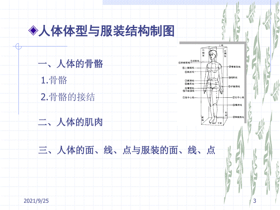 服装制图与样板设计(1)_第3页