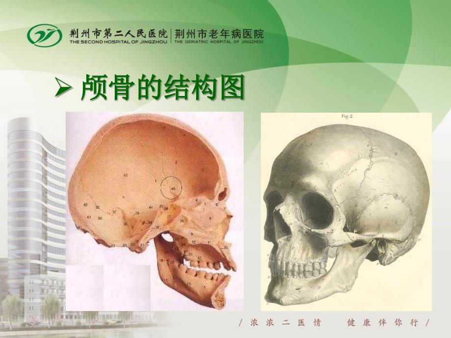 第一节 、颅内压增高病人的护理_第4页