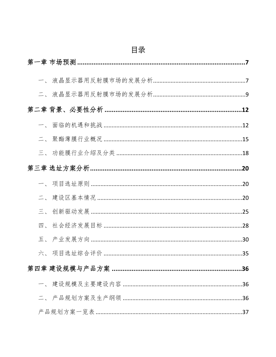 河南功能膜项目可行性研究报告(DOC 75页)_第2页