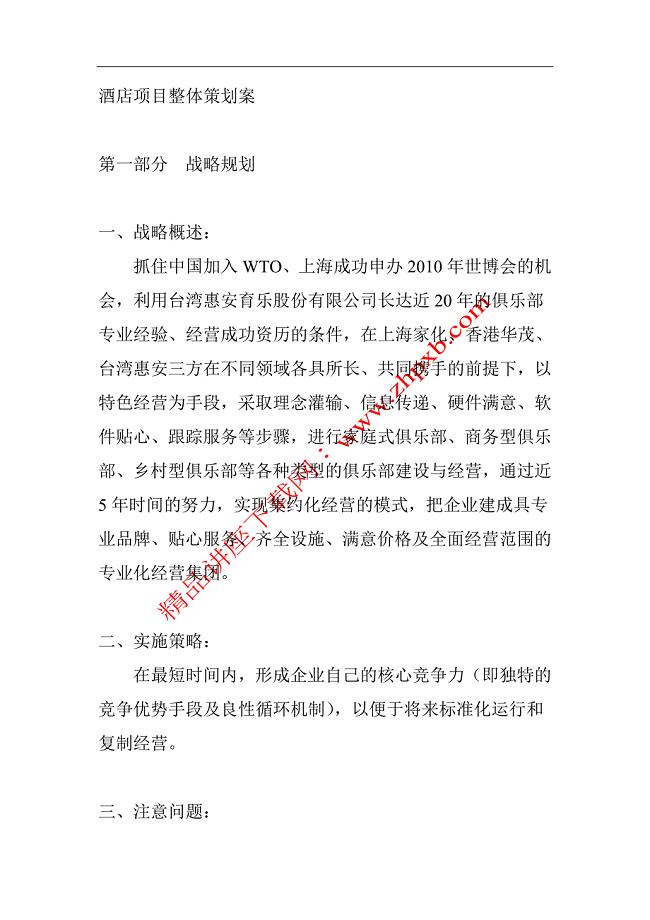 酒店项目整体策划案.doc