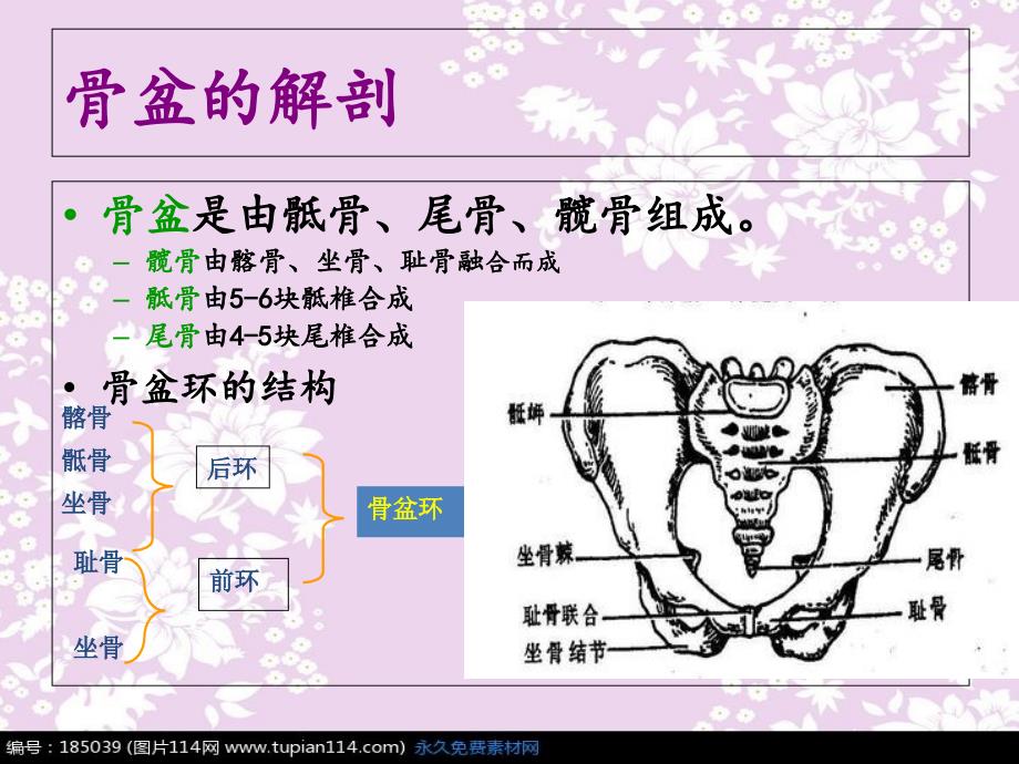 骨盆骨折护理查房_第4页