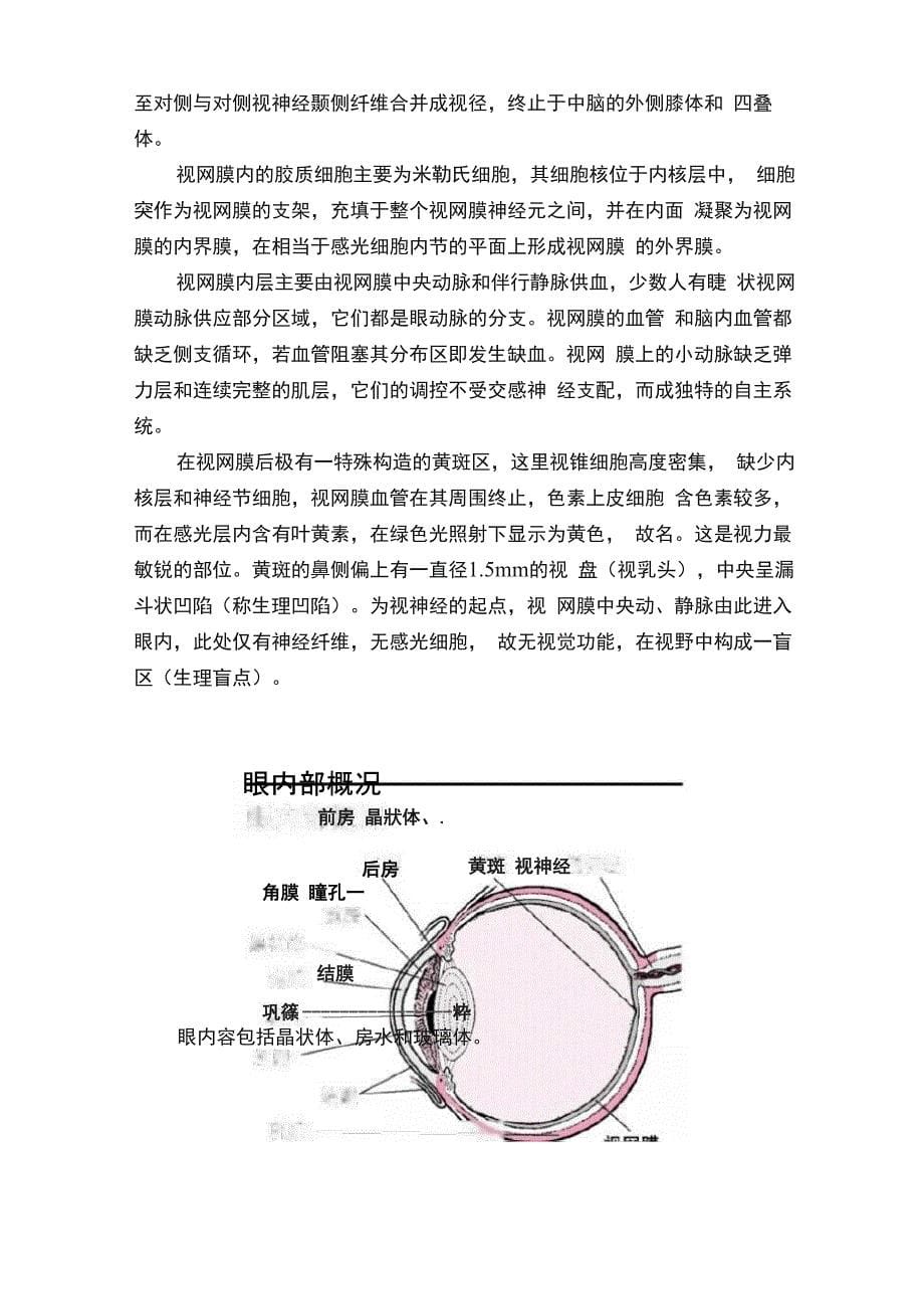 眼的科普知识_第5页