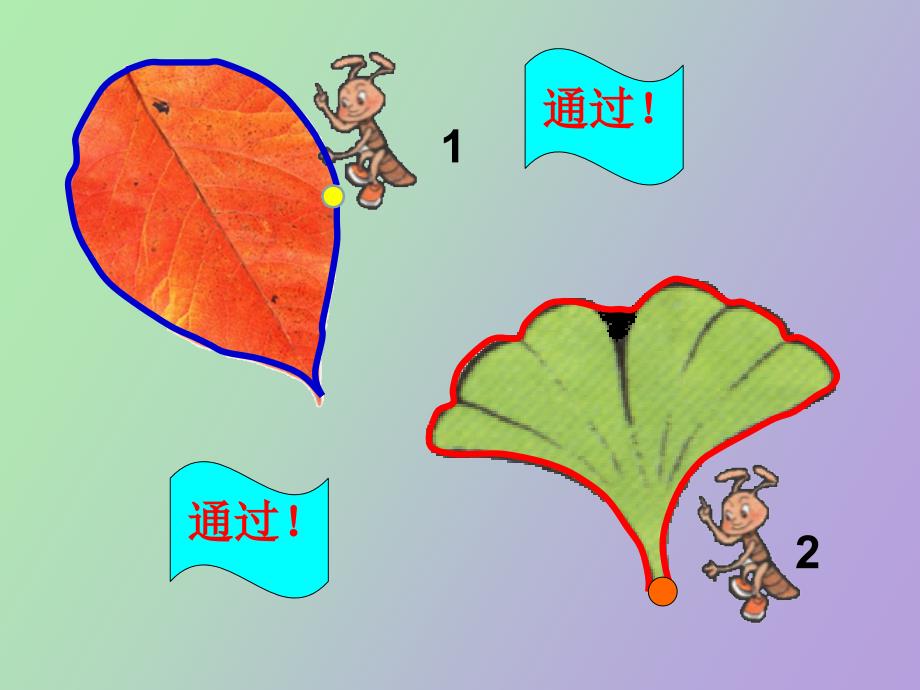 小学数学课件《认识周长》_第2页