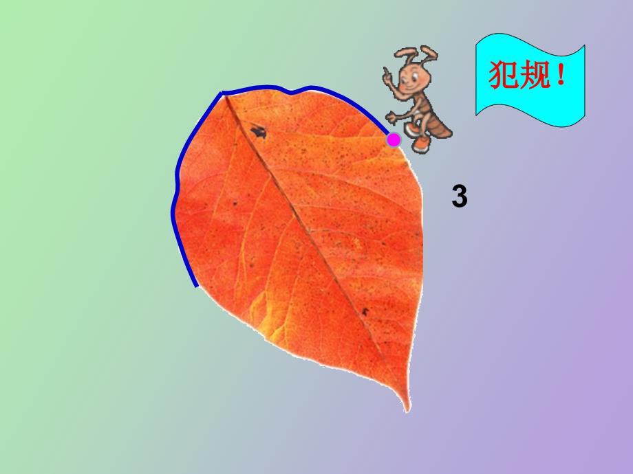 小学数学课件《认识周长》_第4页