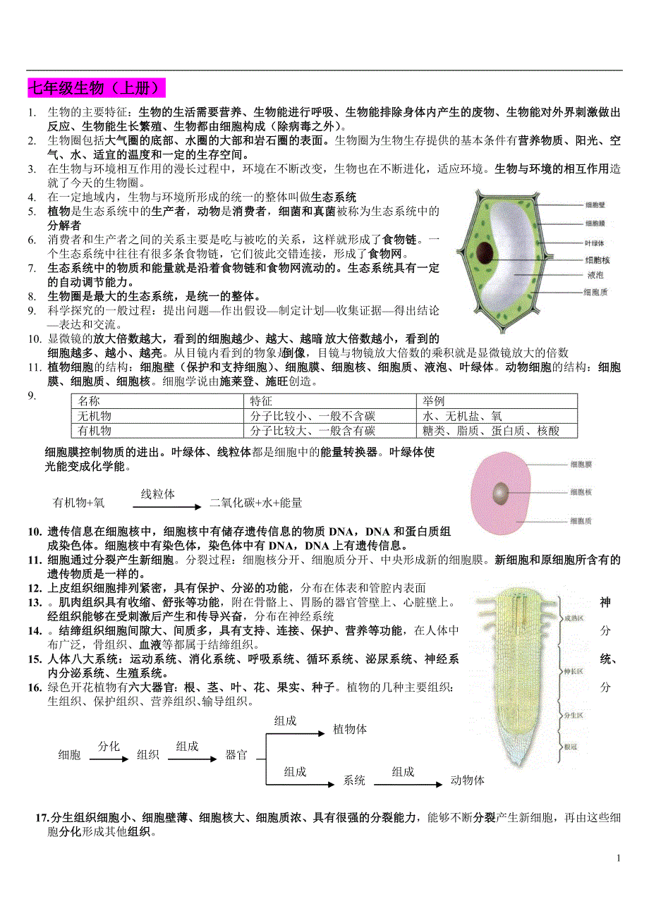 初中生物总复习提纲带彩图}新人教版_第1页