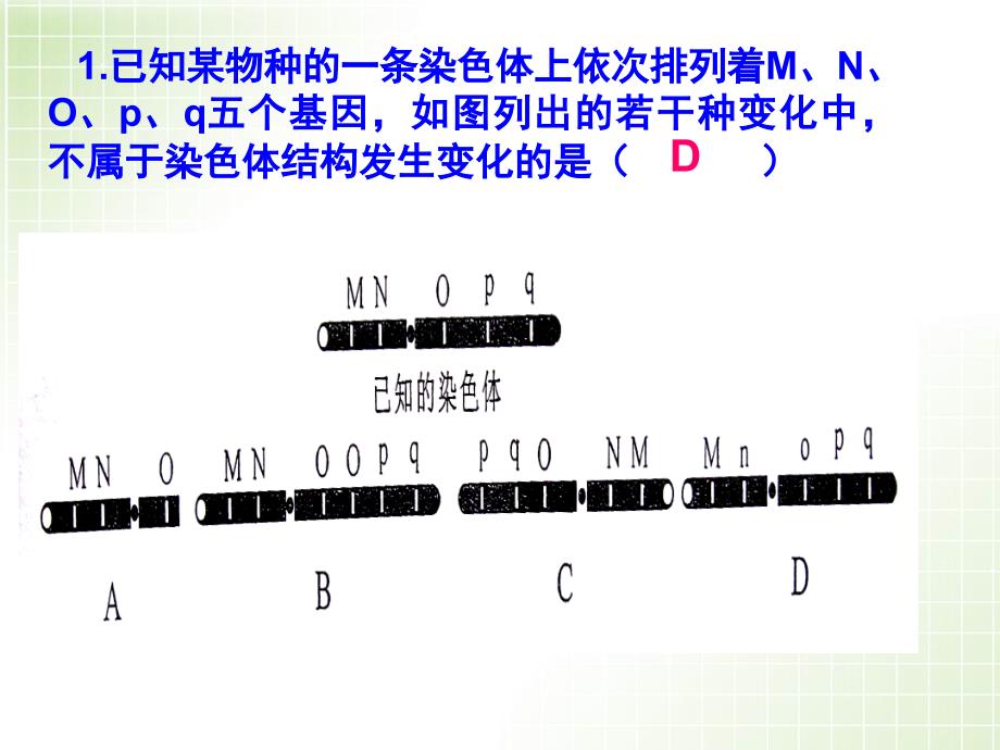 染色体畸变(141)_第3页