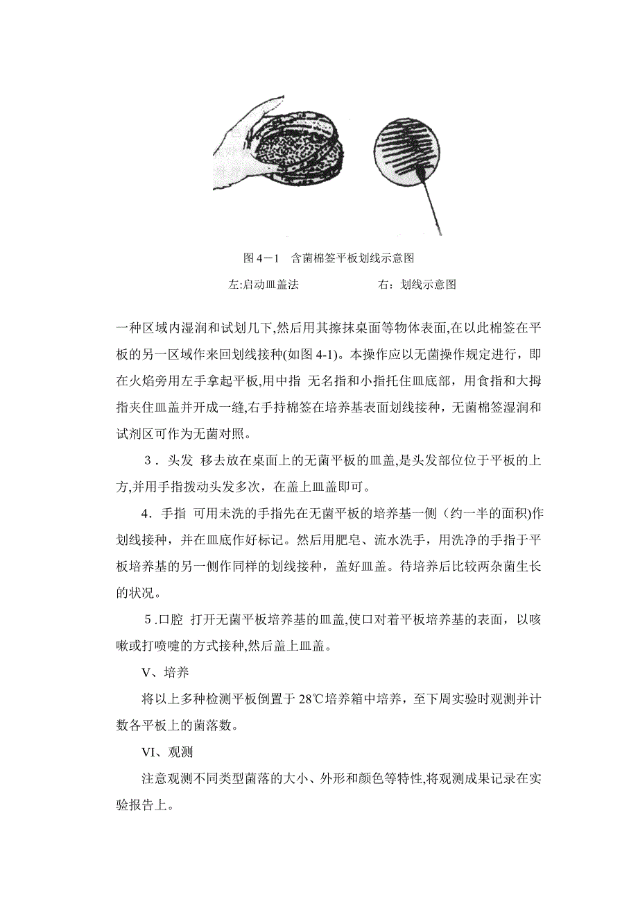 实验3-环境微生物的检测_第4页