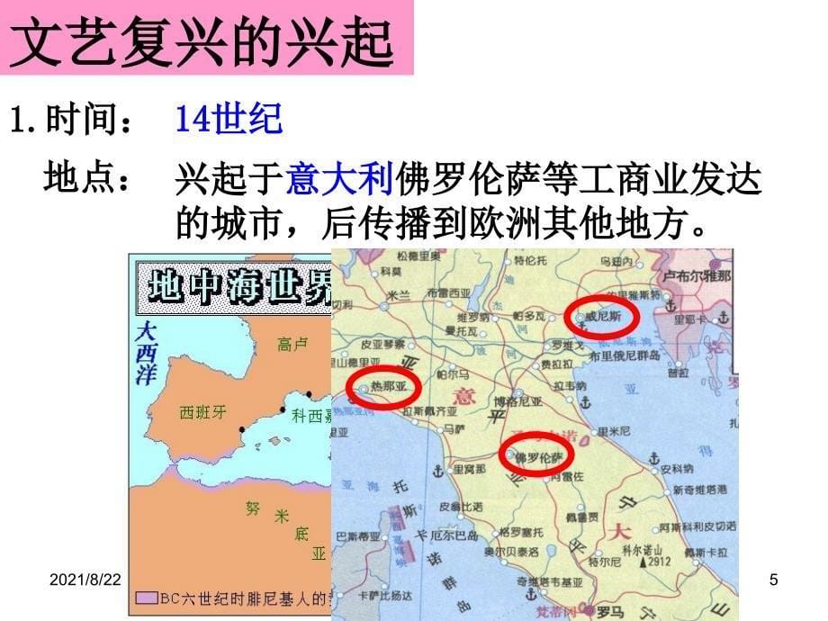 6.2.1“人的发现”推荐课件_第5页