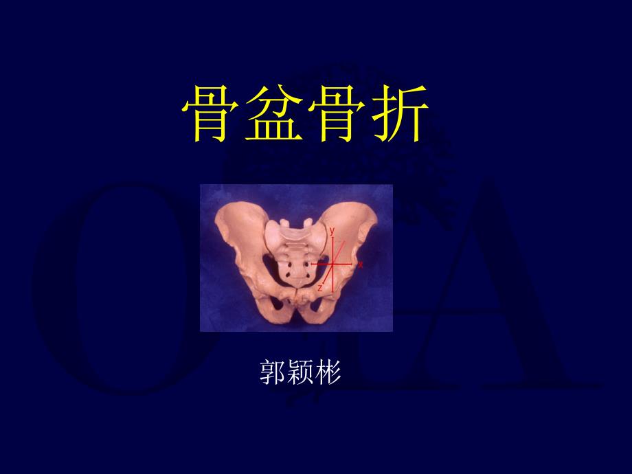 pelvis ppt课件_第1页