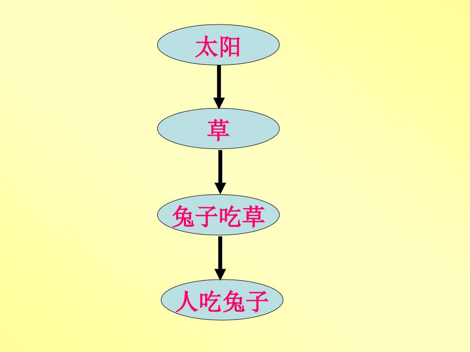 第十六章第四节能源革命_第3页