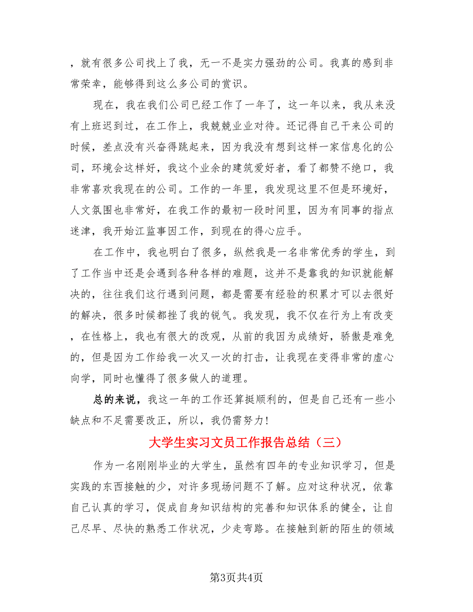 大学生实习文员工作报告总结.doc_第3页