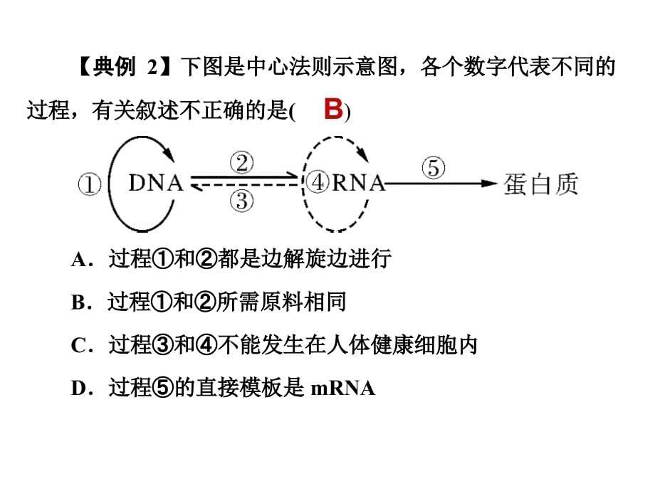 基因对生物性状的控制_第5页