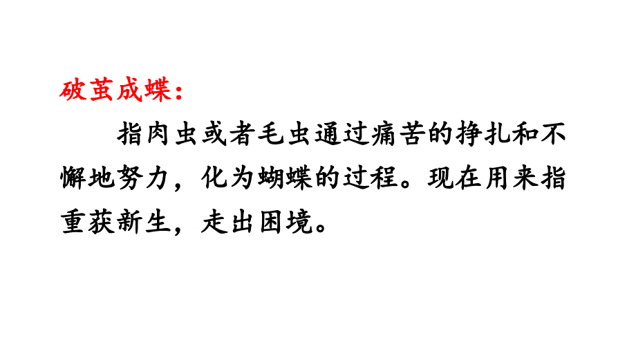 小毛虫ppt课件_第3页