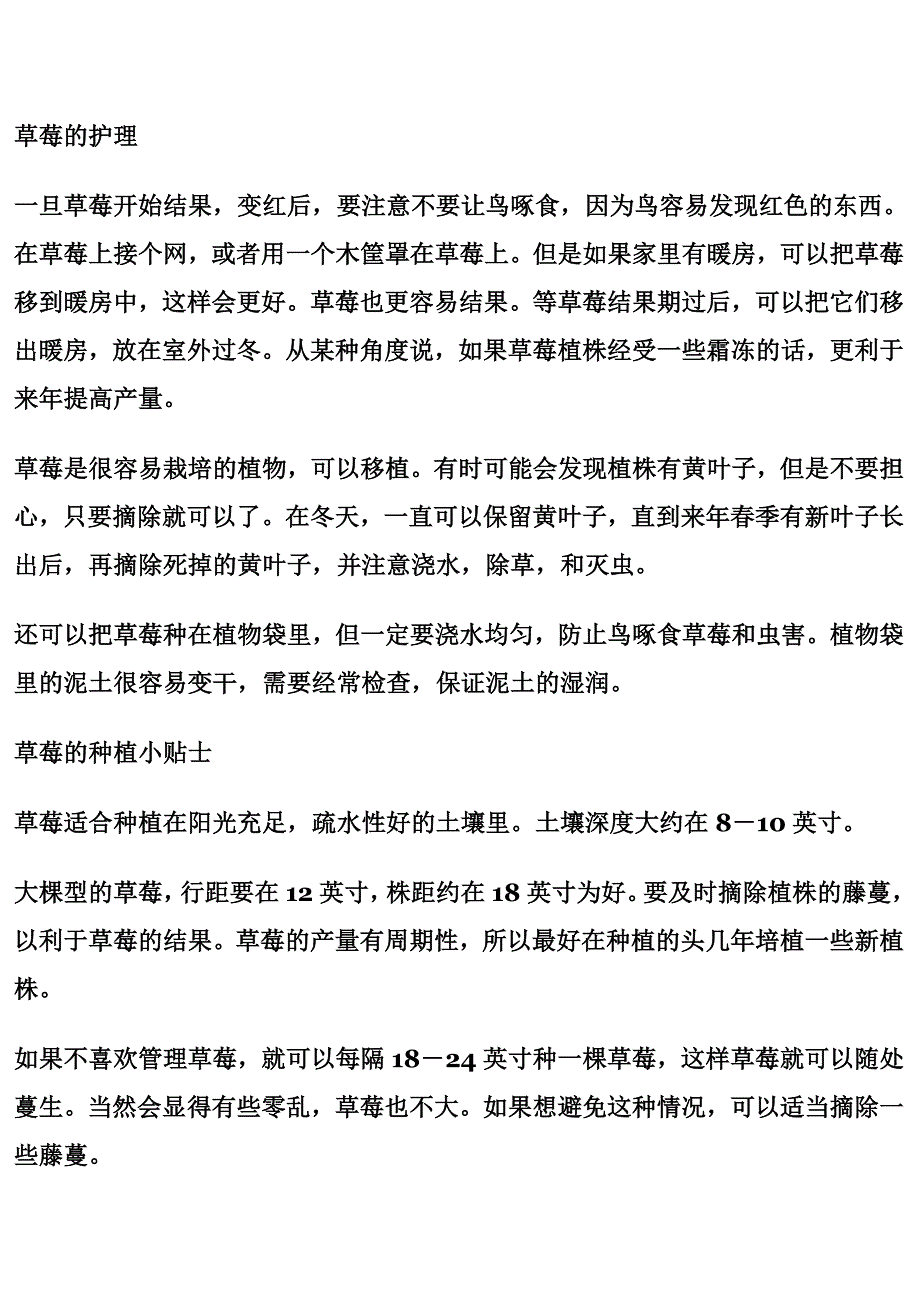 如何种植草莓和管理 (2).doc_第2页