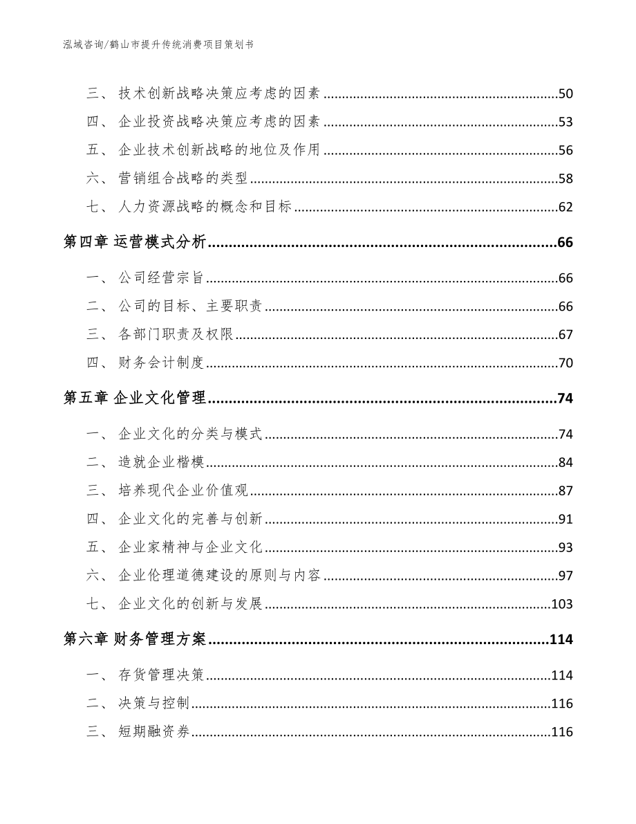 鹤山市提升传统消费项目策划书（模板参考）_第2页