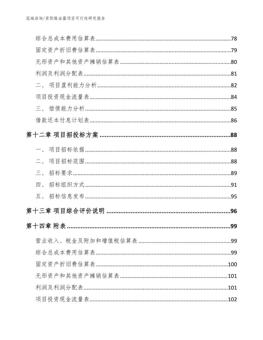 资阳路由器项目可行性研究报告_参考模板_第5页