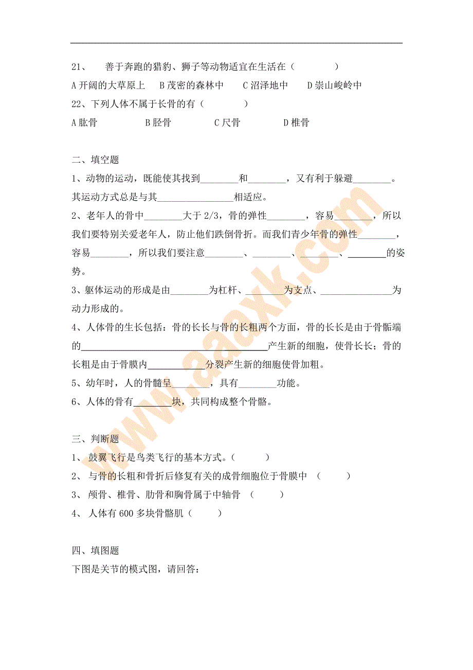 八年级生物上册动物的运动复习巩固练习题[精选文档]_第3页