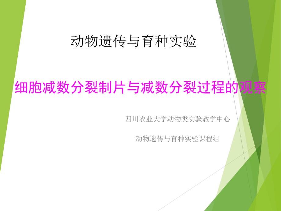 减数分裂实验_第1页