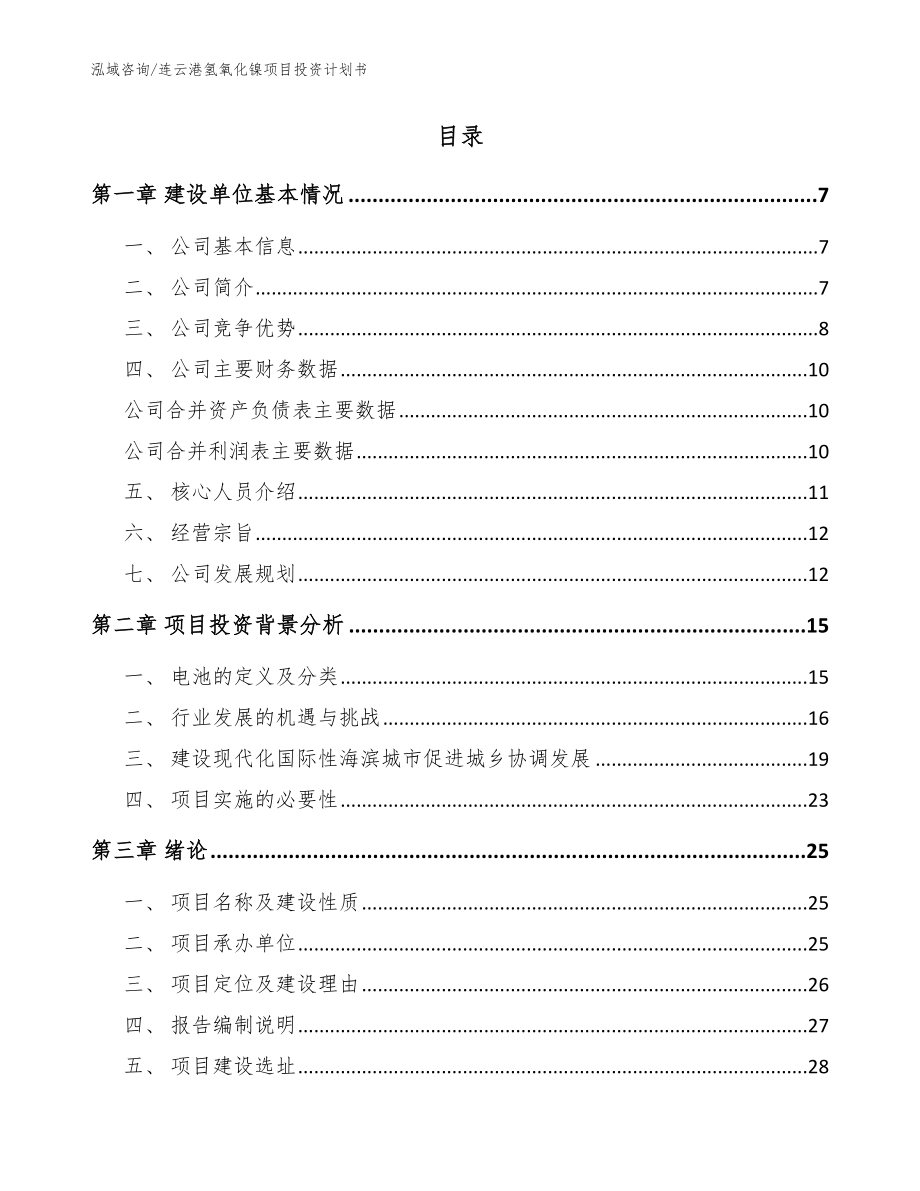 连云港氢氧化镍项目投资计划书（范文模板）_第2页