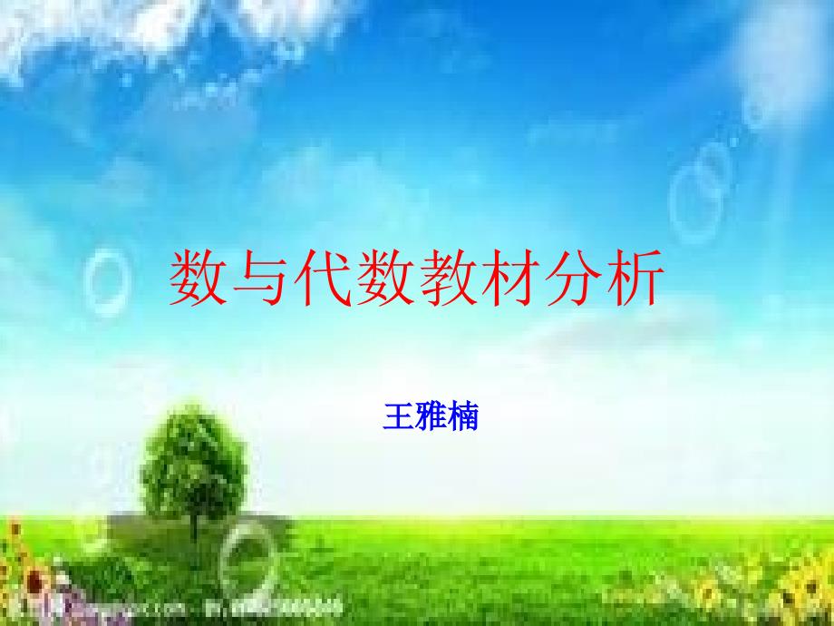 数与代数专题讲座王雅楠_第1页