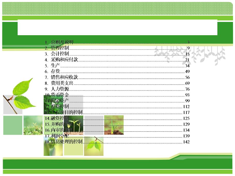 德勤——某公司内部控制制度手册_第2页