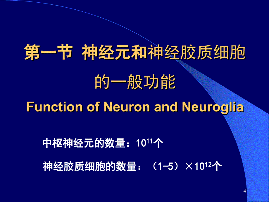 神经元神经纤维胶质细胞突触传递h_第4页