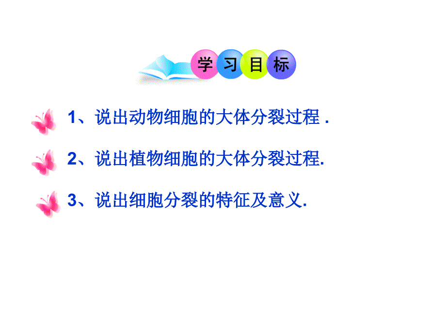 第三节细胞通过分裂而增殖_第2页