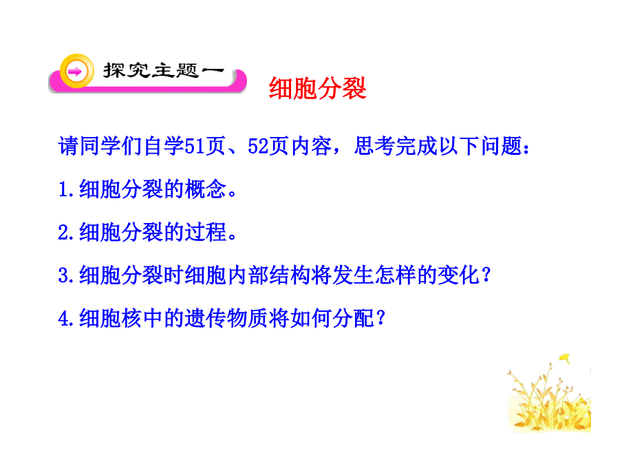 第三节细胞通过分裂而增殖_第4页