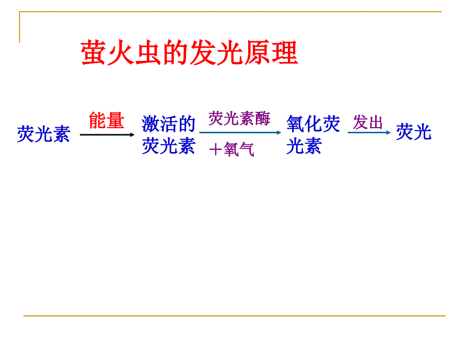 5.2细胞的能量“通货”-ATP(优质课)_第4页