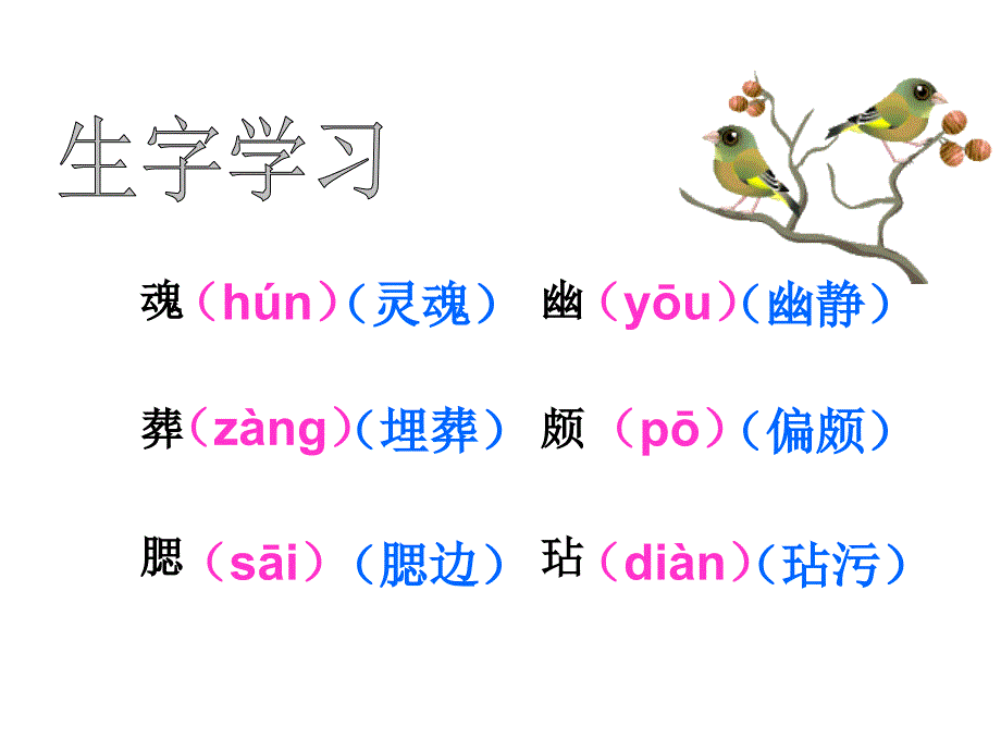 《梅花魂》课件6_第4页