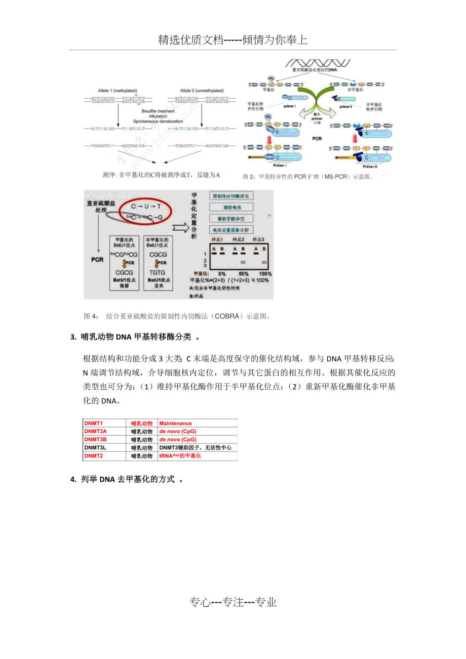 表观遗传学考试复习_第3页