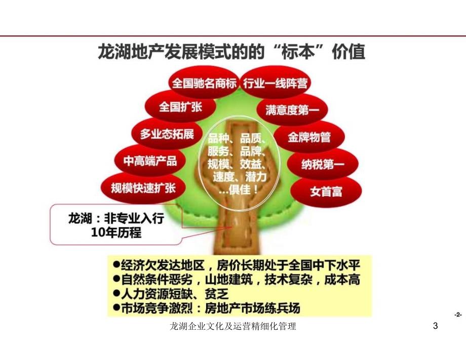 龙湖企业文化及运营精细化管理课件_第3页