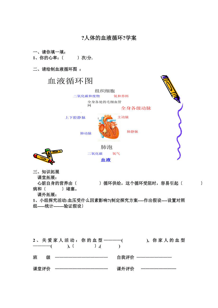 血液循环途径说课稿_第4页